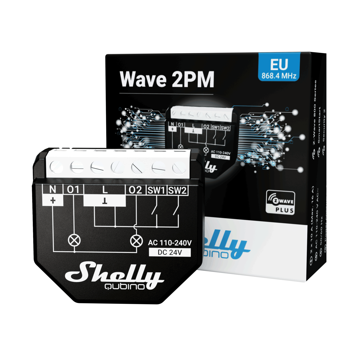 Shelly Qubino Wave 2PM