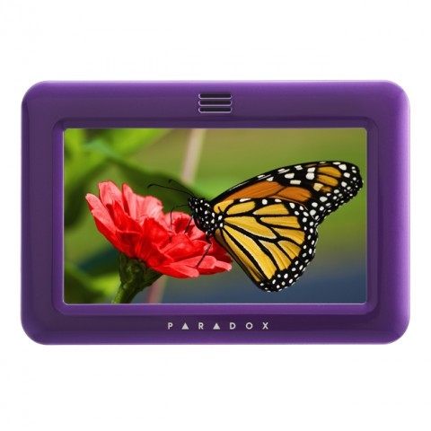 FPLATE_violet